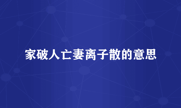 家破人亡妻离子散的意思