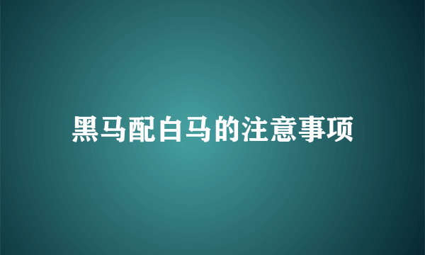 黑马配白马的注意事项