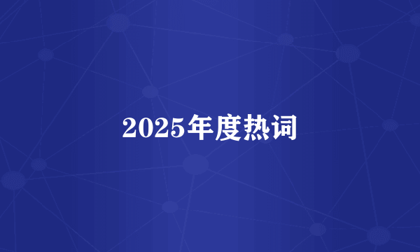 2025年度热词