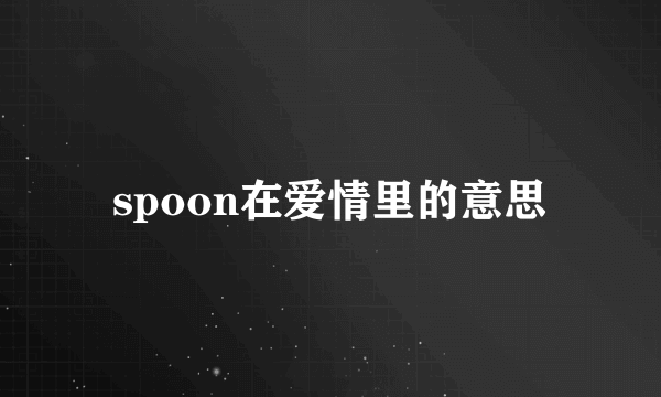 spoon在爱情里的意思