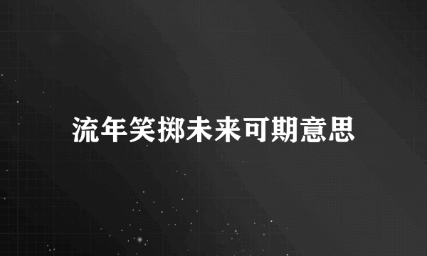 流年笑掷未来可期意思
