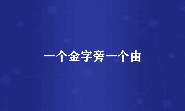 一个金字旁一个由