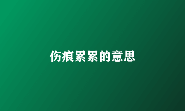 伤痕累累的意思