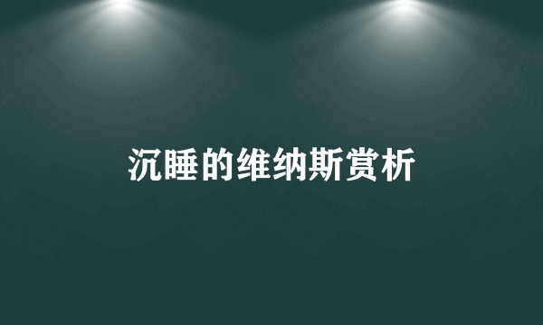 沉睡的维纳斯赏析