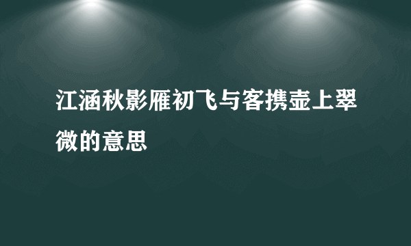 江涵秋影雁初飞与客携壶上翠微的意思