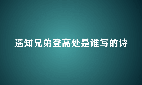 遥知兄弟登高处是谁写的诗