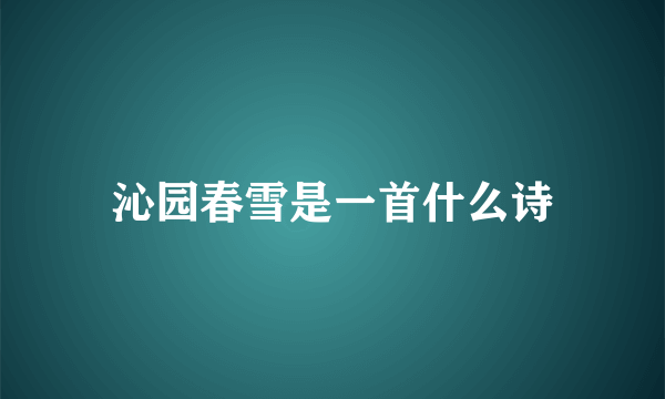 沁园春雪是一首什么诗