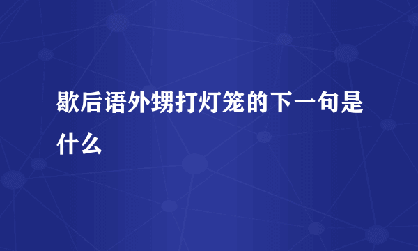 歇后语外甥打灯笼的下一句是什么