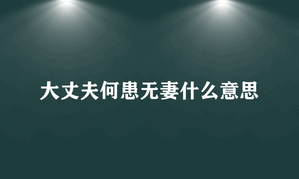 大丈夫何患无妻什么意思