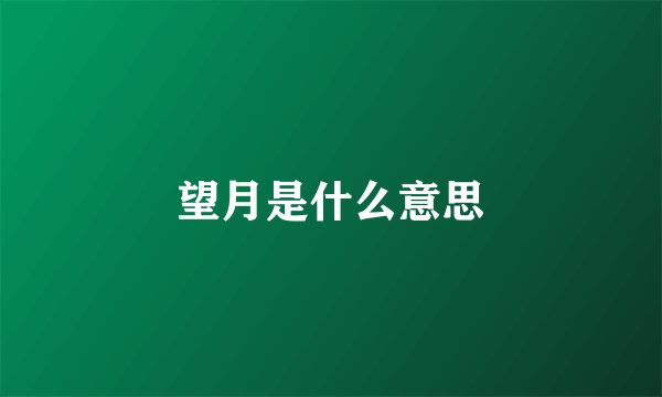 望月是什么意思