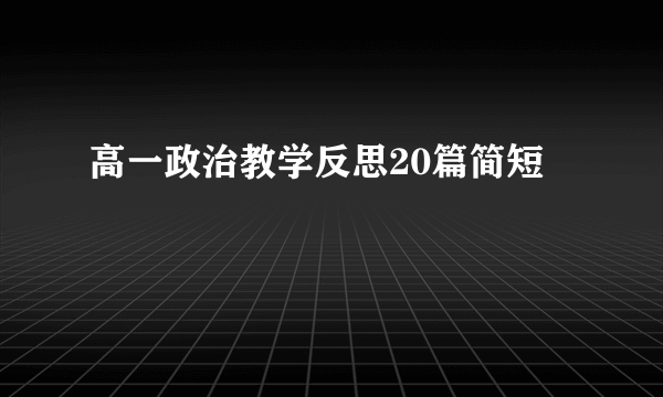 高一政治教学反思20篇简短