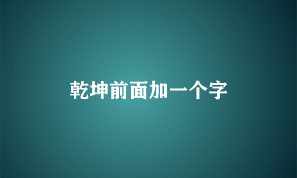 乾坤前面加一个字