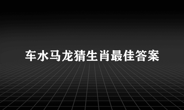 车水马龙猜生肖最佳答案