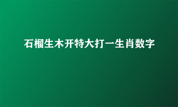 石榴生木开特大打一生肖数字