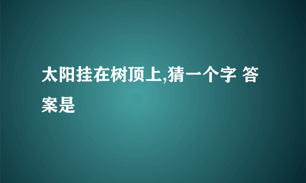 太阳挂在树顶上,猜一个字 答案是