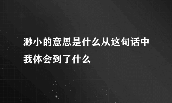 渺小的意思是什么从这句话中我体会到了什么