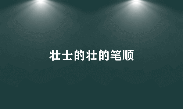 壮士的壮的笔顺