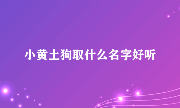 小黄土狗取什么名字好听