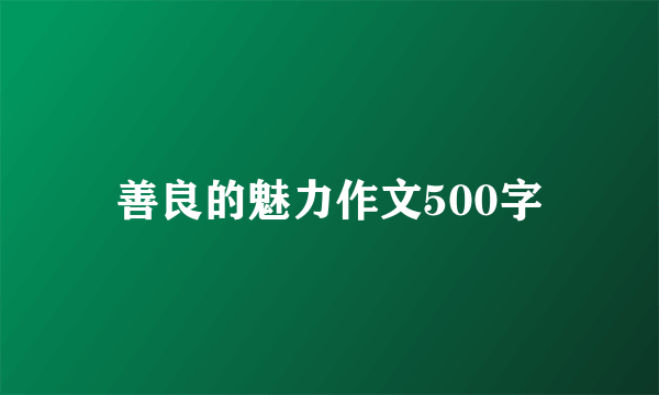 善良的魅力作文500字
