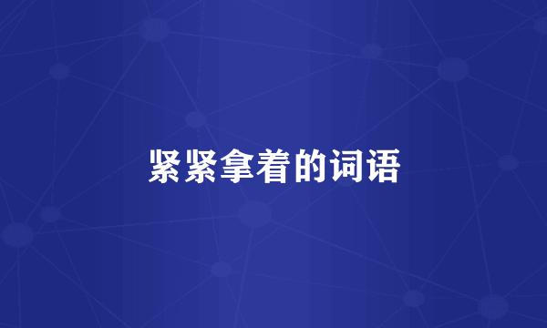 紧紧拿着的词语