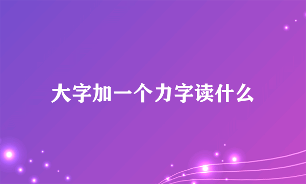 大字加一个力字读什么