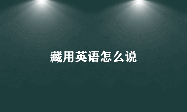 藏用英语怎么说