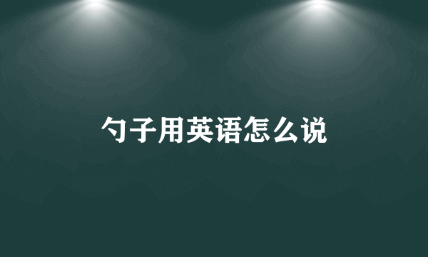 勺子用英语怎么说