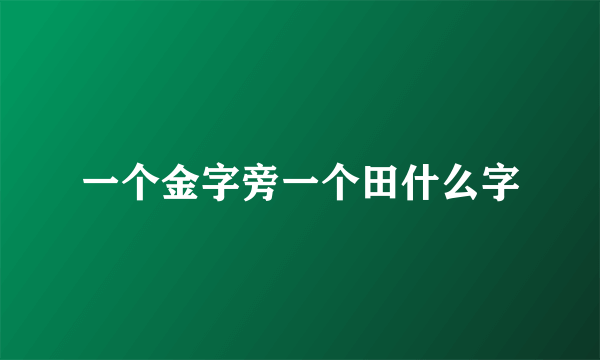 一个金字旁一个田什么字