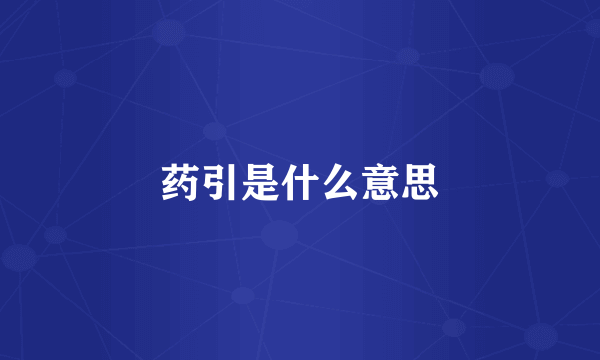 药引是什么意思