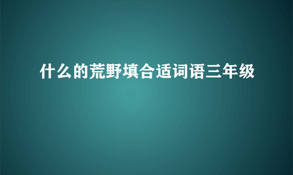 什么的荒野填合适词语三年级