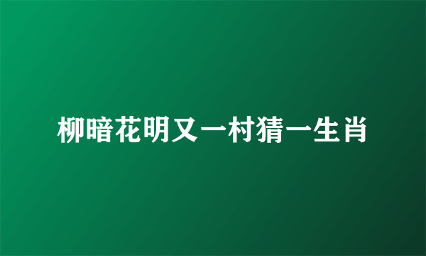 柳暗花明又一村猜一生肖