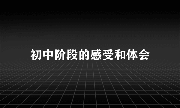 初中阶段的感受和体会