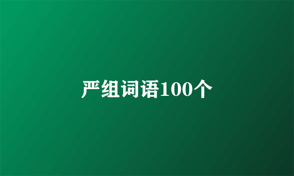 严组词语100个