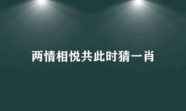 两情相悦共此时猜一肖