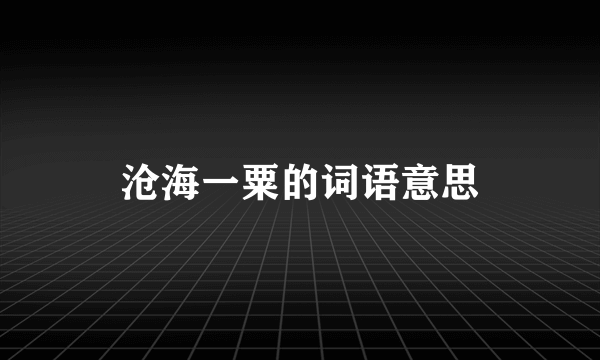 沧海一粟的词语意思