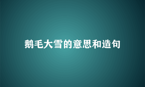 鹅毛大雪的意思和造句