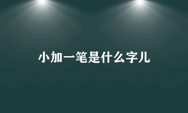 小加一笔是什么字儿