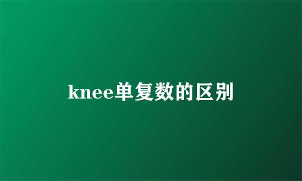 knee单复数的区别