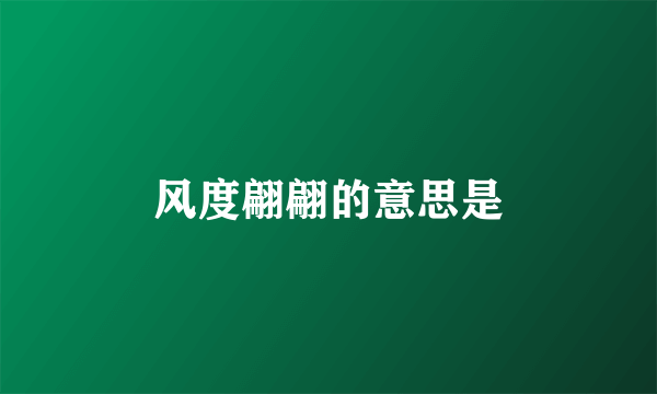 风度翩翩的意思是
