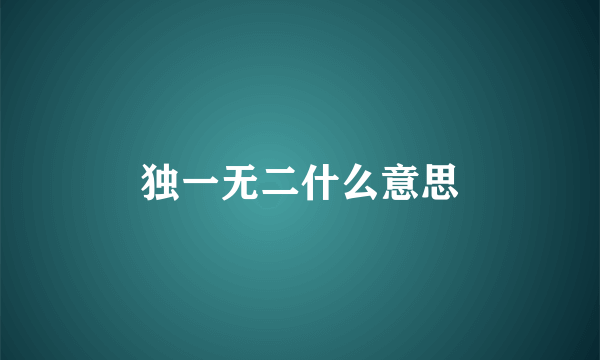 独一无二什么意思