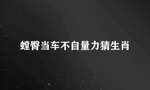 螳臀当车不自量力猜生肖