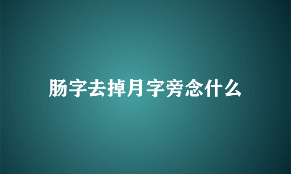 肠字去掉月字旁念什么