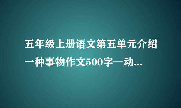 五年级上册语文第五单元介绍一种事物作文500字—动物(兔子)