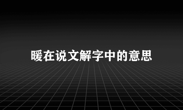 暖在说文解字中的意思