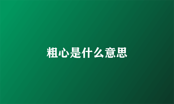 粗心是什么意思
