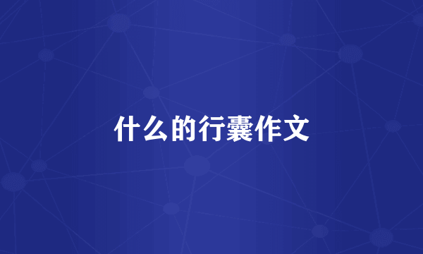 什么的行囊作文