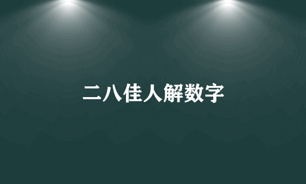 二八佳人解数字