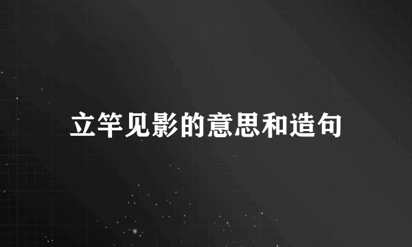 立竿见影的意思和造句