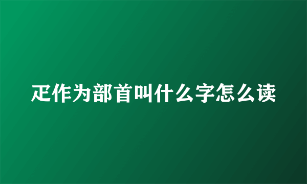 疋作为部首叫什么字怎么读