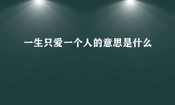 一生只爱一个人的意思是什么